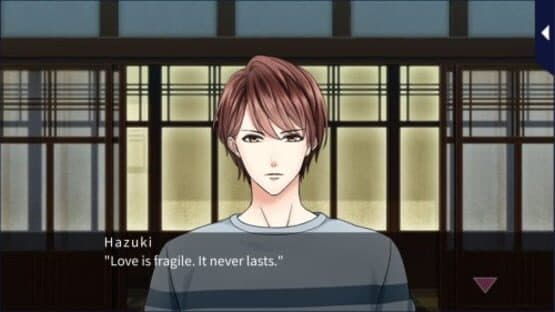 Love Brings You Home — screenshot 2