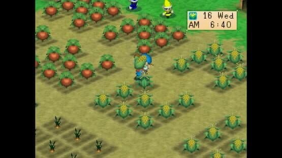 Harvest Moon: Back to Nature — screenshot 1
