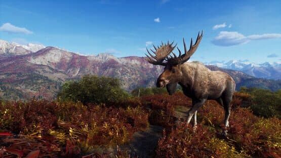 Way of the Hunter: Aurora Shores — screenshot 1