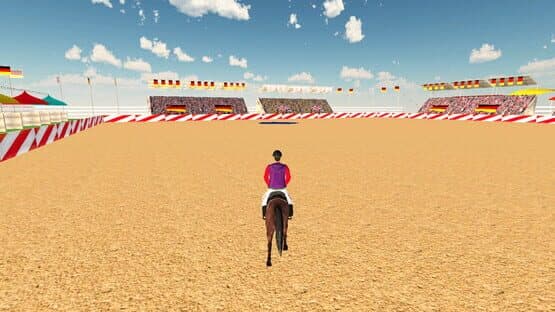 Riding Horse School — screenshot 8