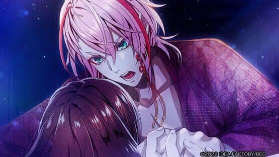 Birushana Senki: Ichijuu no Kaze — screenshot 3