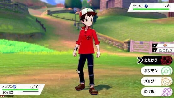 Pokémon Shield + Expansion Pass — screenshot 4