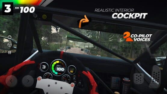 Real Rally — screenshot 3