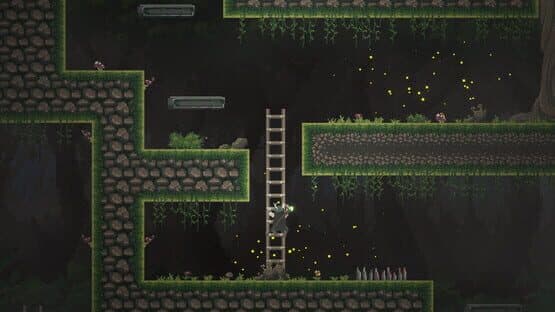 The Druid — screenshot 3