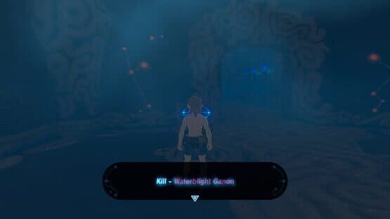 The Legend of Zelda: Breath of the Wild Randomizer — screenshot 3