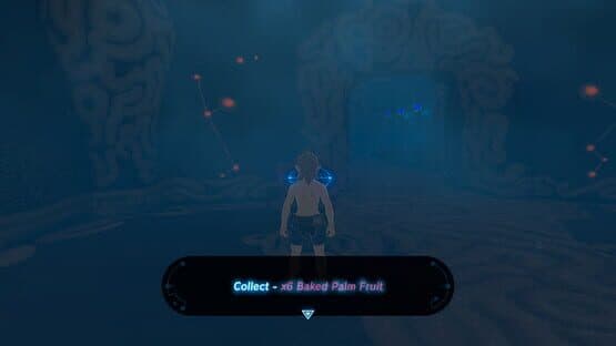 The Legend of Zelda: Breath of the Wild Randomizer — screenshot 4
