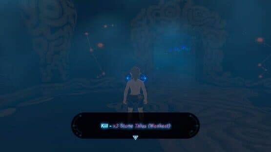 The Legend of Zelda: Breath of the Wild Randomizer — screenshot 5
