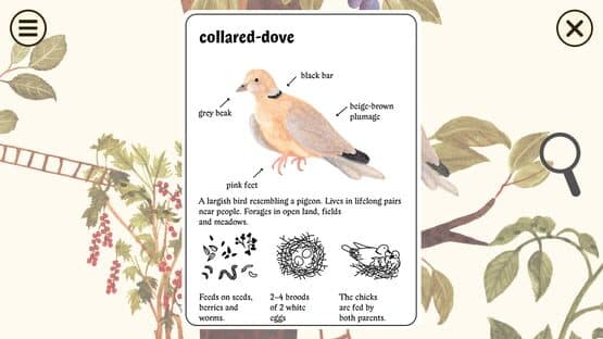 Little Mouse's Encyclopedia: Complete Edition — screenshot 1