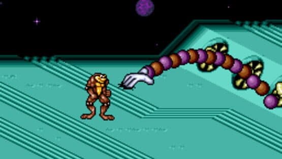 Battletoads / Double Dragon — screenshot 1