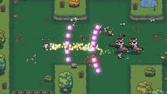 AK-xolotl — screenshot 6
