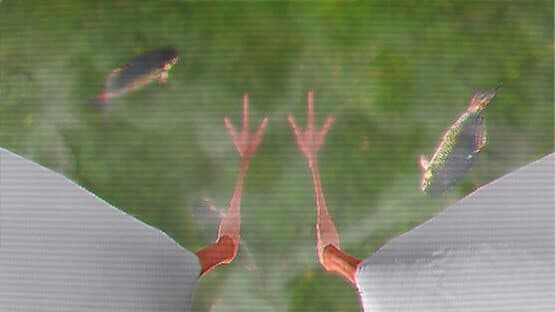 Ibis AM — screenshot 1