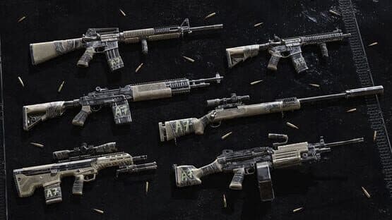 Insurgency: Sandstorm - Worn Veteran Weapon Skin Set — screenshot 8