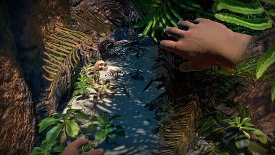 Memories From Beyond a Coral Sea — screenshot 4