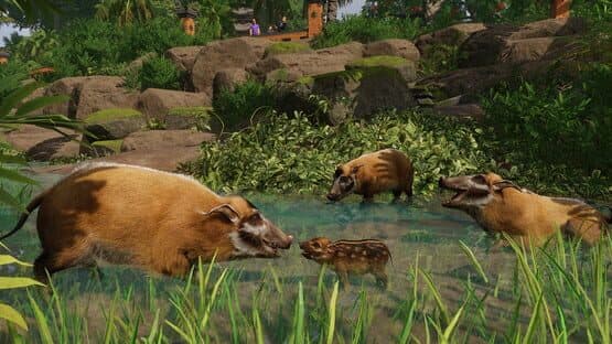 Planet Zoo: Tropical Pack — screenshot 4