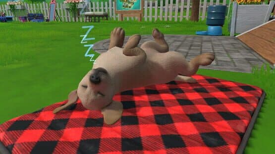 Little Friends: Puppy Island — screenshot 4