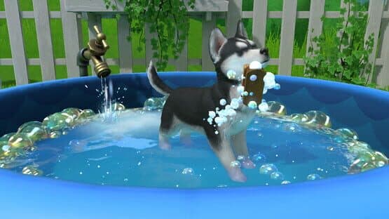 Little Friends: Puppy Island — screenshot 6
