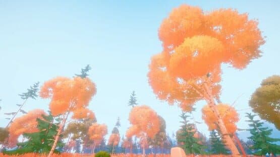 Woodland Hike — screenshot 5