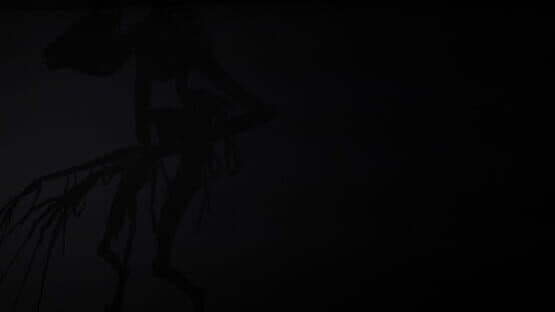 Appearances — screenshot 2