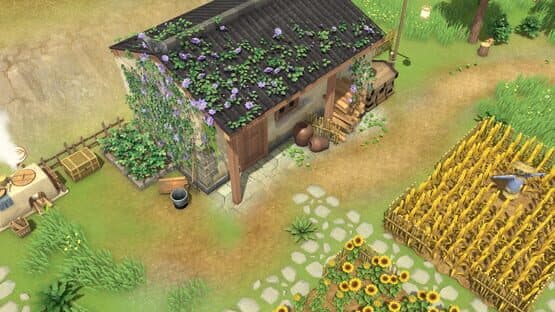 Litchi Town — screenshot 1