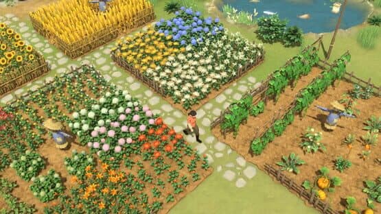 Litchi Town — screenshot 4