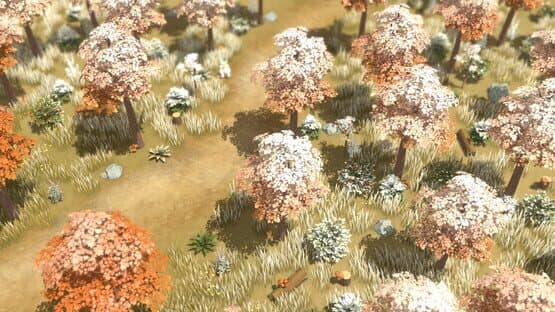 Litchi Town — screenshot 5