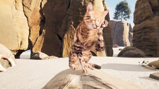 Super Cat Simulator — screenshot 1