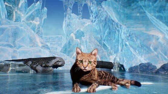Super Cat Simulator — screenshot 2