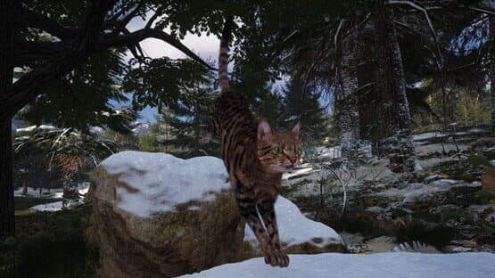 Super Cat Simulator — screenshot 4