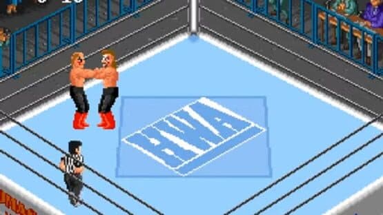 Super Fire Pro Wrestling — screenshot 1