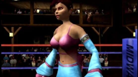 Ready 2 Rumble Boxing: Round 2 — screenshot 2