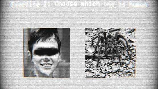 Recognition Test 23 — screenshot 2