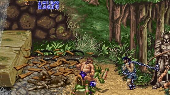 Golden Axe: The Revenge Of Death Adder — screenshot 3
