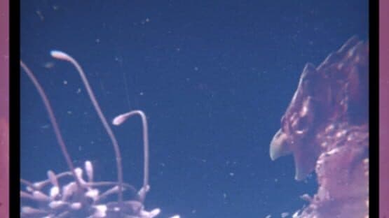 Overbeast — screenshot 5