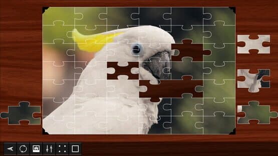 Jigsaw Puzzle World: Birds — screenshot 1