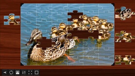 Jigsaw Puzzle World: Birds — screenshot 2