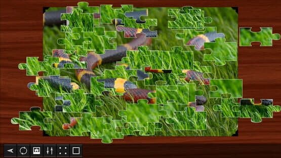 Jigsaw Puzzle World: Reptiles 2 — screenshot 4