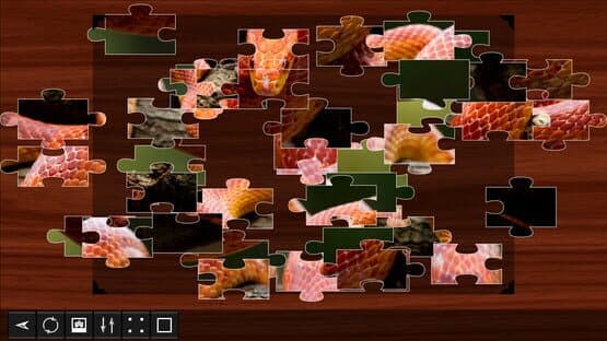 Jigsaw Puzzle World: Reptiles — screenshot 3