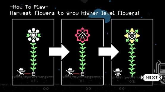 Tuttle: Star Flower Harvest — screenshot 4