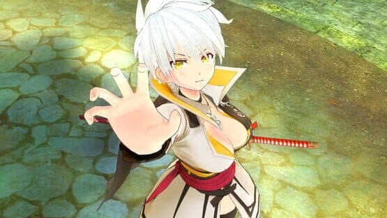 Senran Kagura Burst Re:Newal - Miyabi Character and Campaign — screenshot 1