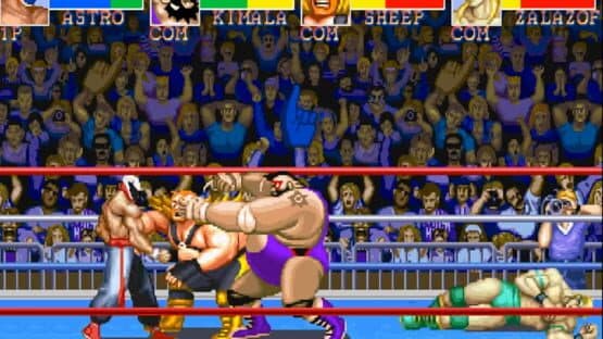 Muscle Bomber Duo: Ultimate Team Battle — screenshot 1