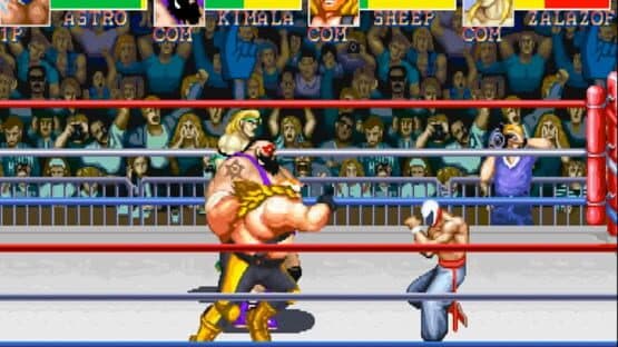Muscle Bomber Duo: Ultimate Team Battle — screenshot 2
