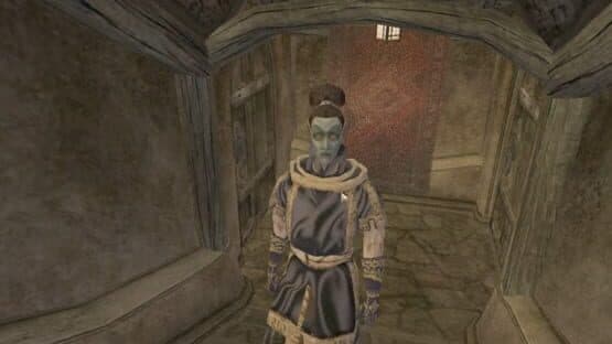 The Elder Scrolls III: Morrowind - Entertainers — screenshot 1