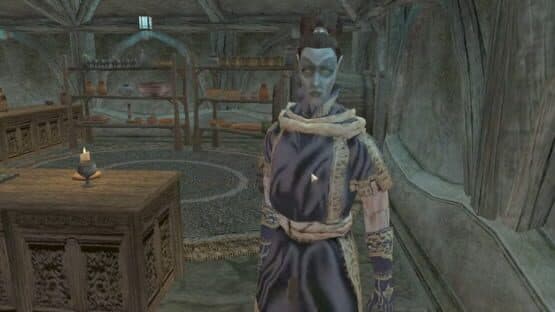 The Elder Scrolls III: Morrowind - Entertainers — screenshot 2