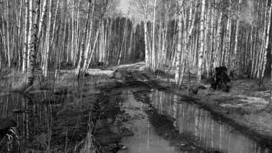 Russian Psychiatric Pastoral — screenshot 4