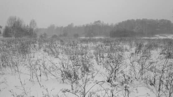 Russian Psychiatric Pastoral — screenshot 8
