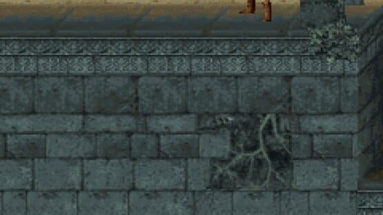 Prince of Persia Classic — screenshot 4