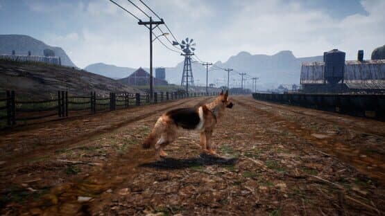 Shepherd Dog — screenshot 2