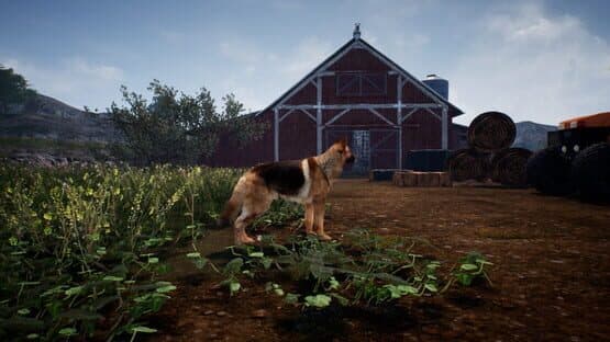 Shepherd Dog — screenshot 5