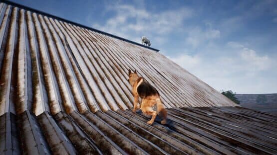 Shepherd Dog — screenshot 6