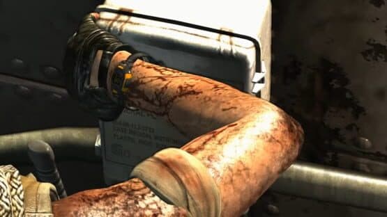 Tomb Raider: Shanty Town — screenshot 2